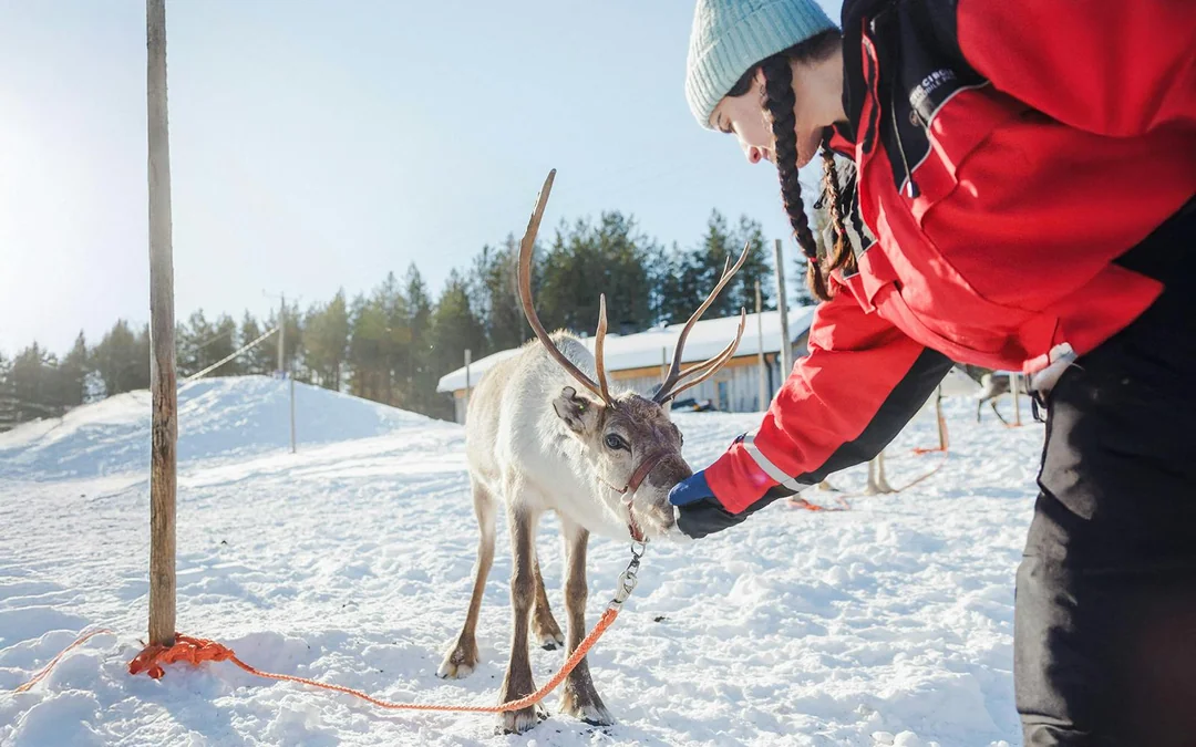 Reindeer Farm and Sledding Experience Image 2