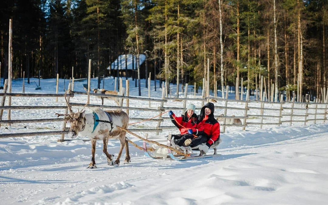 Reindeer Farm and Sledding Experience Image 10