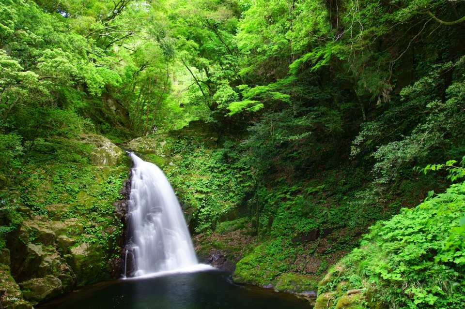 Reservations for climbing Akame 48 Waterfalls and entering Akame Waterfall Aquarium (Nabari City, Mie Prefecture)