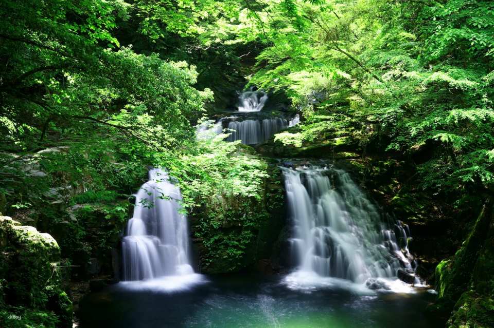 Reservations for climbing Akame 48 Waterfalls and entering Akame Waterfall Aquarium (Nabari City, Mie Prefecture)