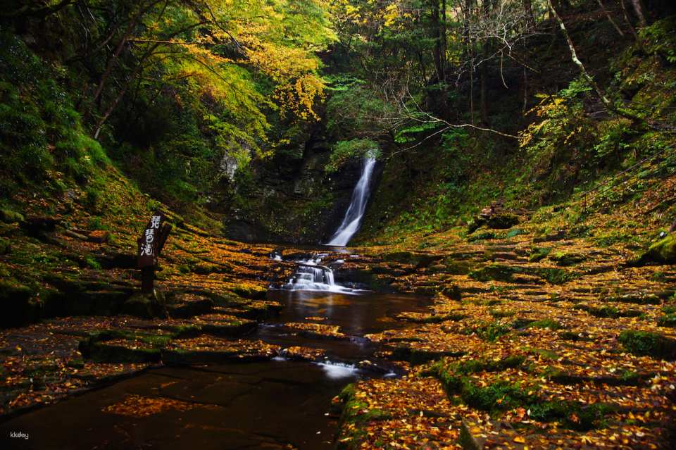 Reservations for climbing Akame 48 Waterfalls and entering Akame Waterfall Aquarium (Nabari City, Mie Prefecture)