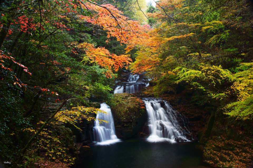Reservations for climbing Akame 48 Waterfalls and entering Akame Waterfall Aquarium (Nabari City, Mie Prefecture)