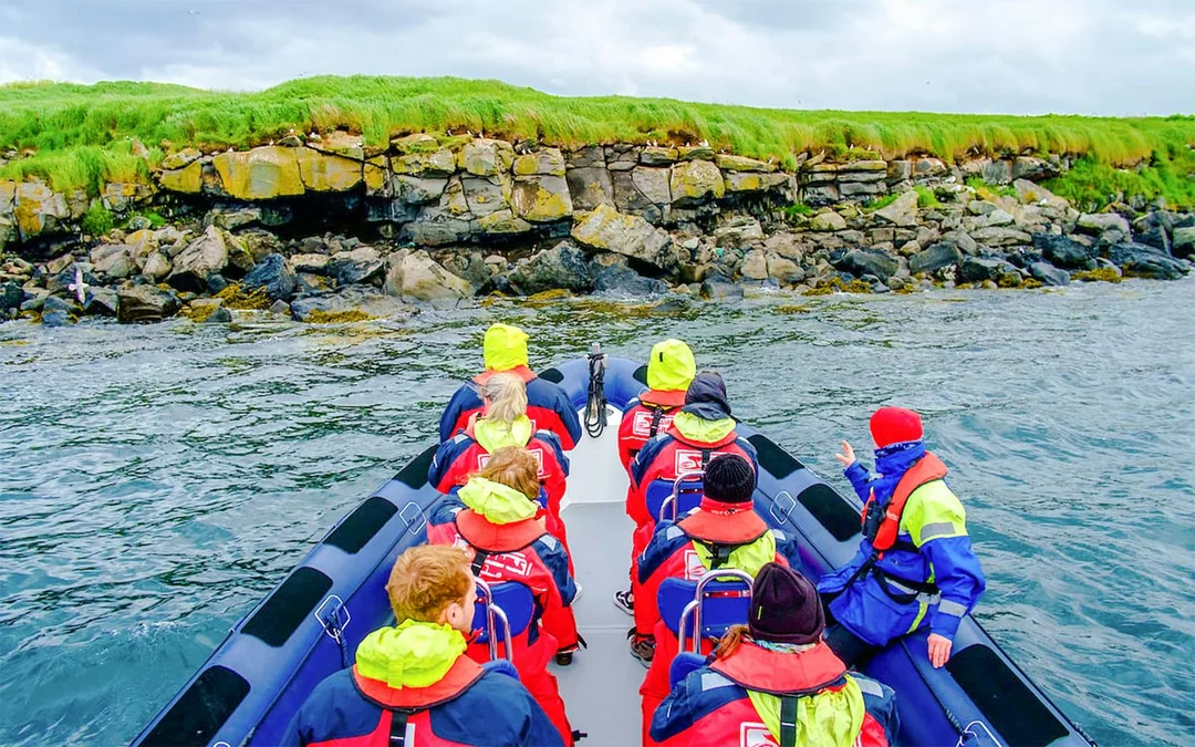 Reykjavik: 2-Hour Whale & Puffin Watching RIB Boat Tour Image 5
