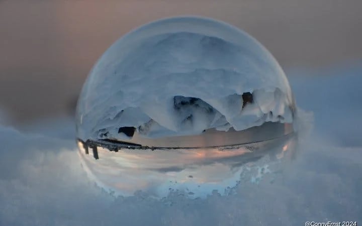 Reykjavik Guided Walking Tour of Landmarks and Hidden Gems with Icelandic Sweets Tasting Image 4