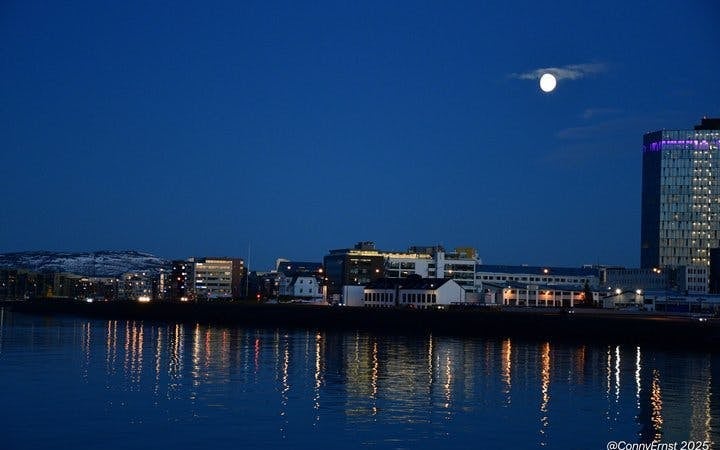 Reykjavik Guided Walking Tour of Landmarks and Hidden Gems with Icelandic Sweets Tasting Image 9