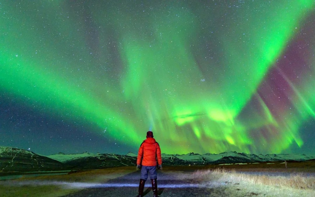 Reykjavik: Northern Lights & Golden Circle Full Day Trip Image 8