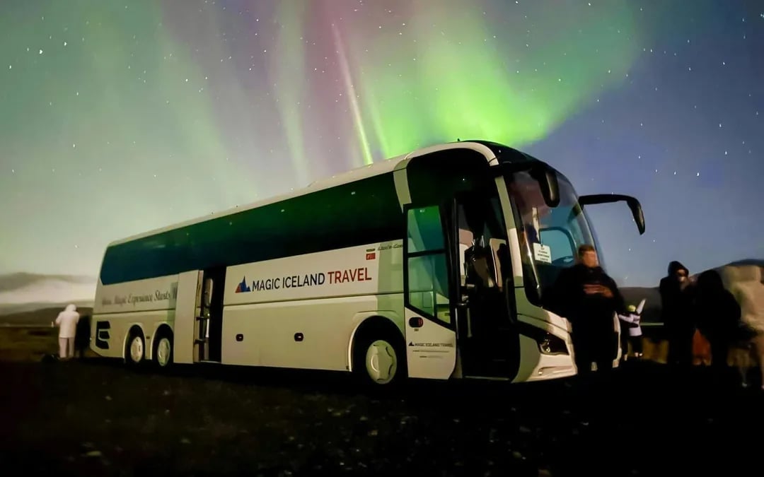  Reykjavik: Northern Lights Bus Tour with Chocolate & Surprise Gift
 Image 4