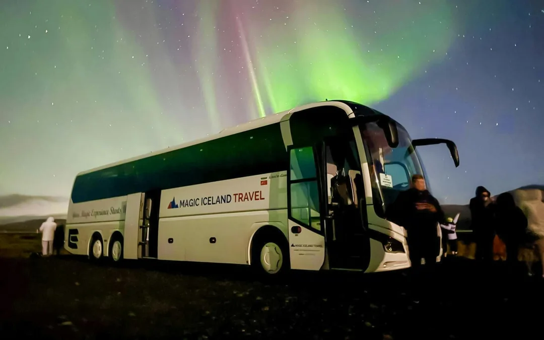  Reykjavik: Northern Lights Bus Tour with Chocolate & Surprise Gift
 Image 4