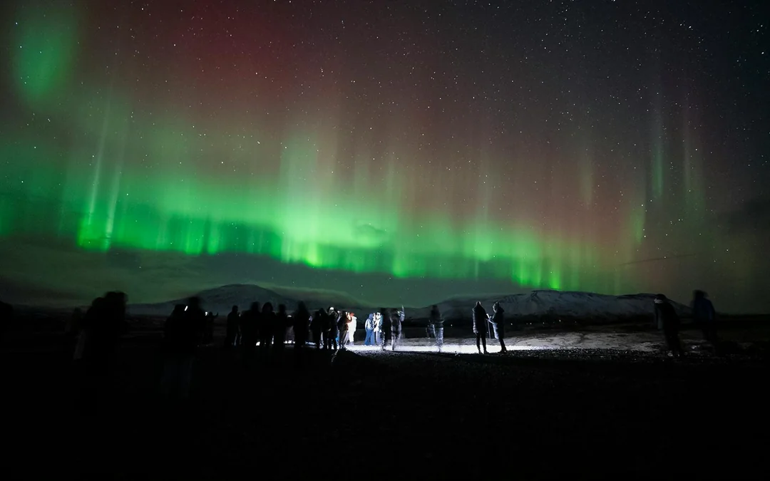  Reykjavik: Northern Lights Bus Tour with Chocolate & Surprise Gift
 Image 5