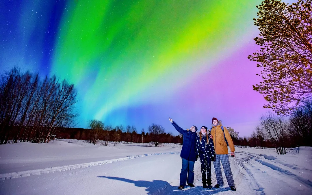 Reykjavik: Northern Lights Chase Tours Image 2