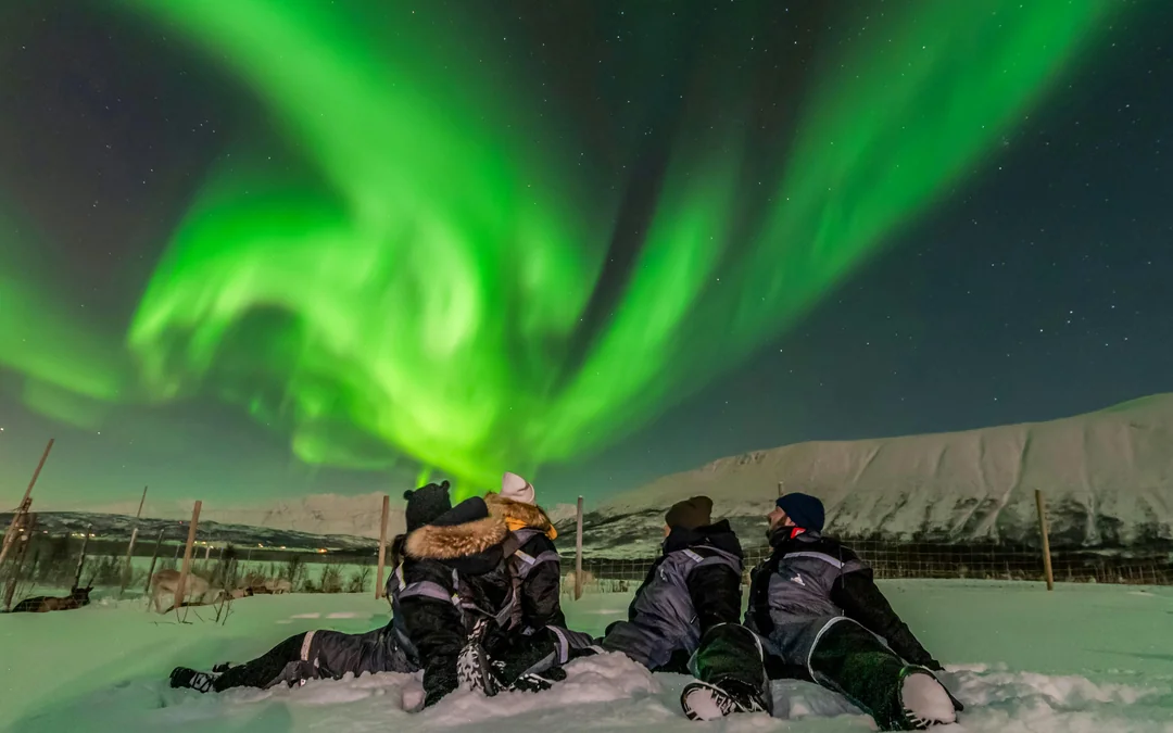 Reykjavik: Northern Lights Small Group Bus Tour with Hot Chocolate & Surprise Gift
Image 1