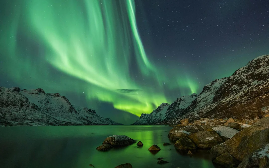 Reykjavik: Northern Lights Small Group Bus Tour with Hot Chocolate & Surprise Gift
Image 2