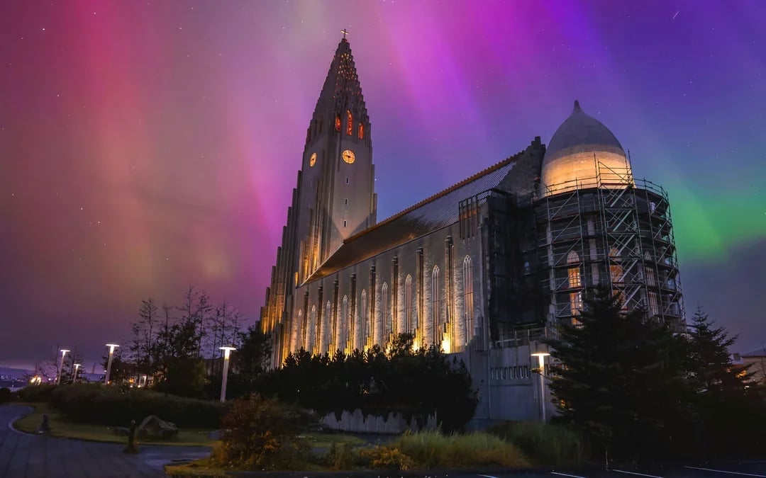 Reykjavik: Northern Lights Small Group Bus Tour with Hot Chocolate & Surprise Gift
 Image 8