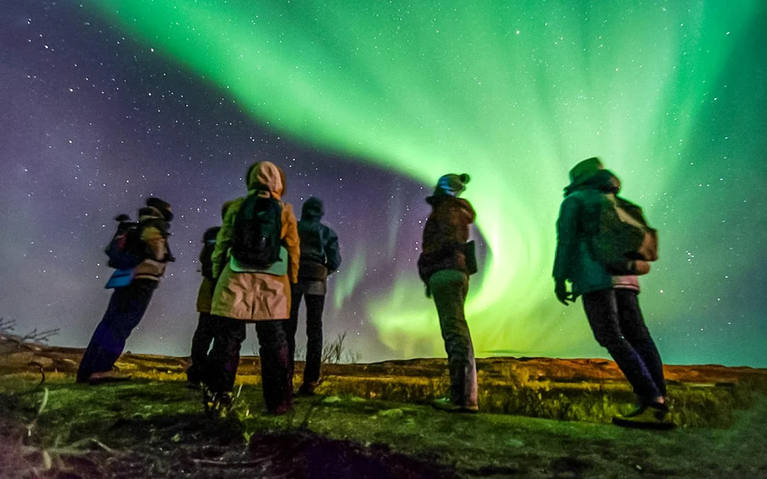 Reykjavik: Northern Lights Small Group Chase Tours Image 1