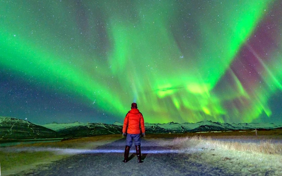 Reykjavik: Northern Lights Small Group Chase Tours Image 7