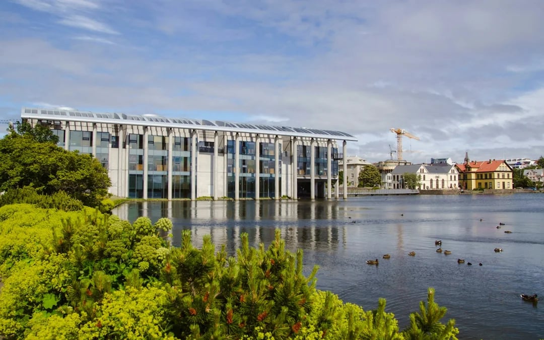 Reykjavik Old Town Private Walking Tour with Whale Watching Cruise Tickets Image 2