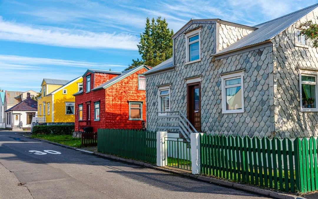 Reykjavik Old Town Private Walking Tour with Whale Watching Cruise Tickets Image 7