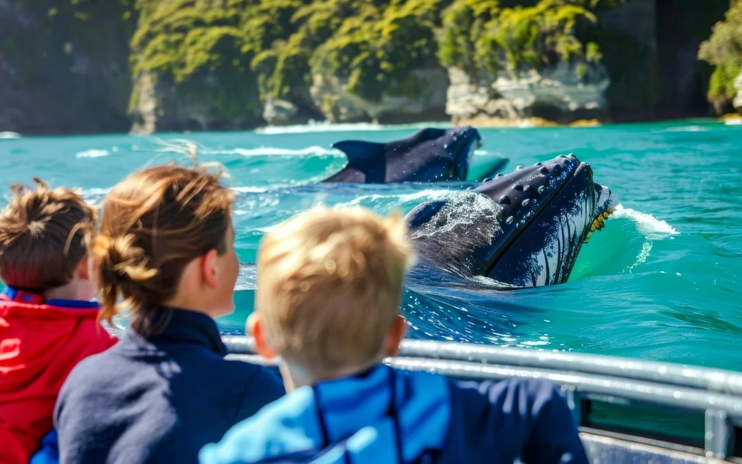 Reykjavik Old Town Private Walking Tour with Whale Watching Cruise Tickets Image 9