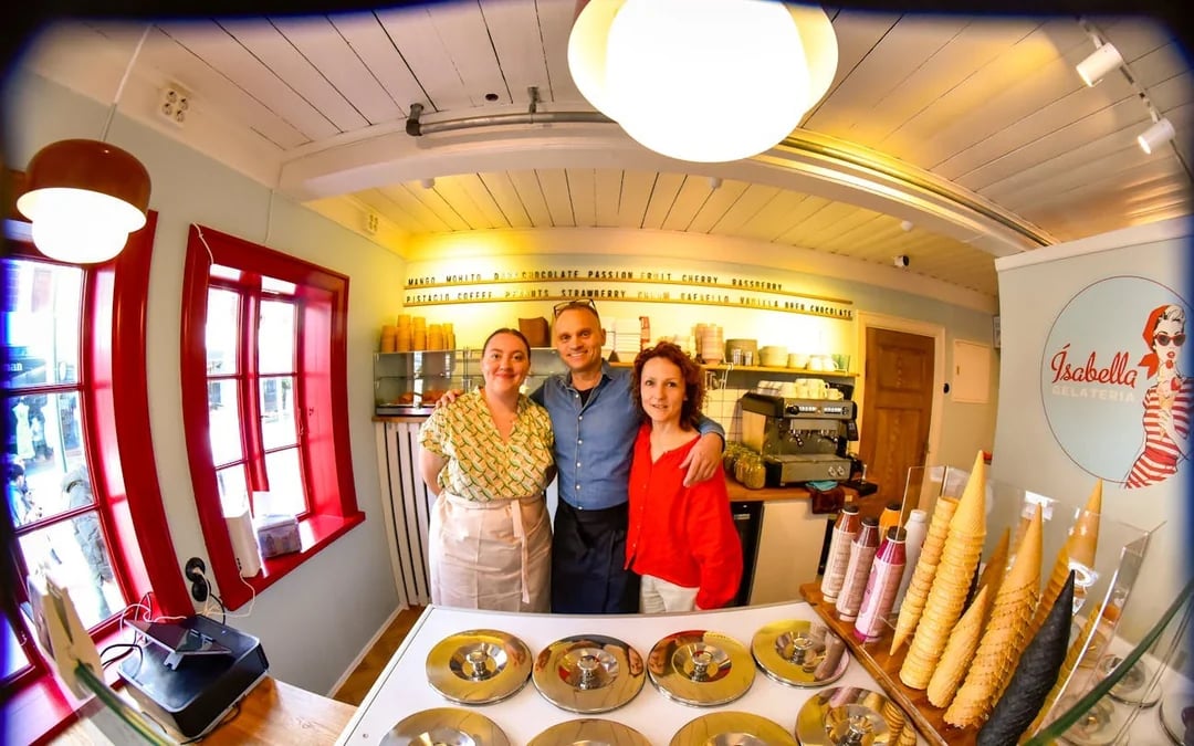 Reykjavik Private Punk Music History and Icelandic Food Tasting Tour Image 3