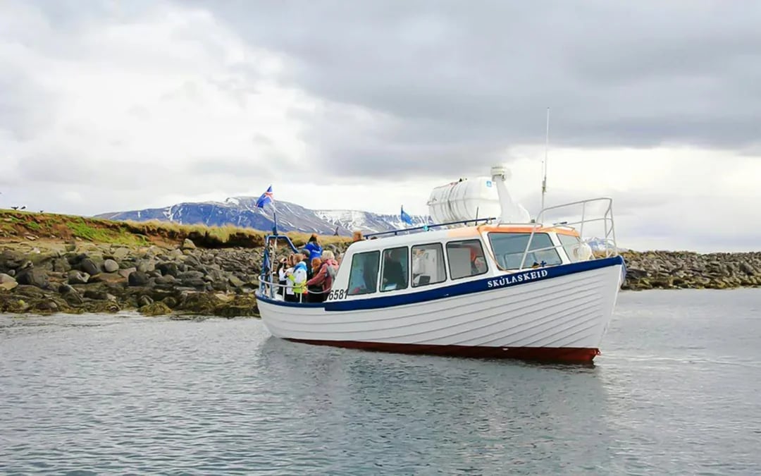 Reykjavik: Puffin Watching Boat Tour Image 2