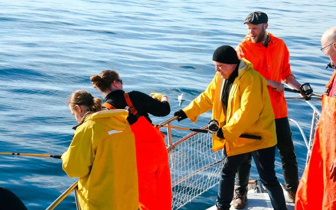 Reykjavík Sea Angling Gourmet Image 4