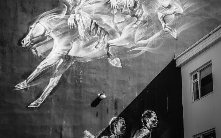 Reykjavik Street Art Guided Walking Tour Through Hidden Alleys and Neighborhoods Image 2