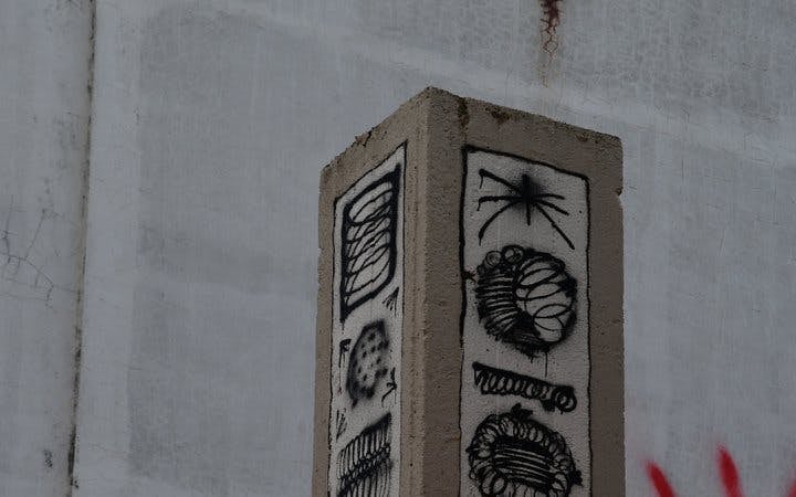 Reykjavik Street Art Guided Walking Tour Through Hidden Alleys and Neighborhoods Image 3