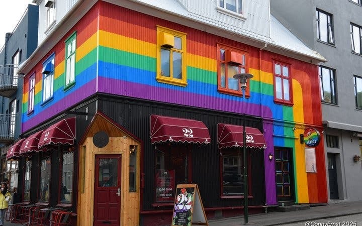 Reykjavik Street Art Guided Walking Tour Through Hidden Alleys and Neighborhoods Image 4