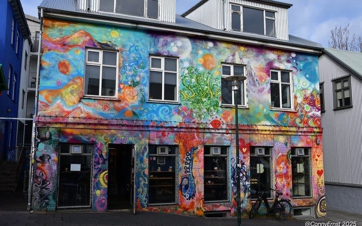 Reykjavik Street Art Guided Walking Tour Through Hidden Alleys and Neighborhoods Image 6