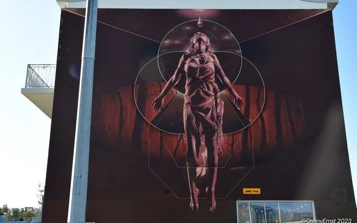 Reykjavik Street Art Guided Walking Tour Through Hidden Alleys and Neighborhoods Image 7