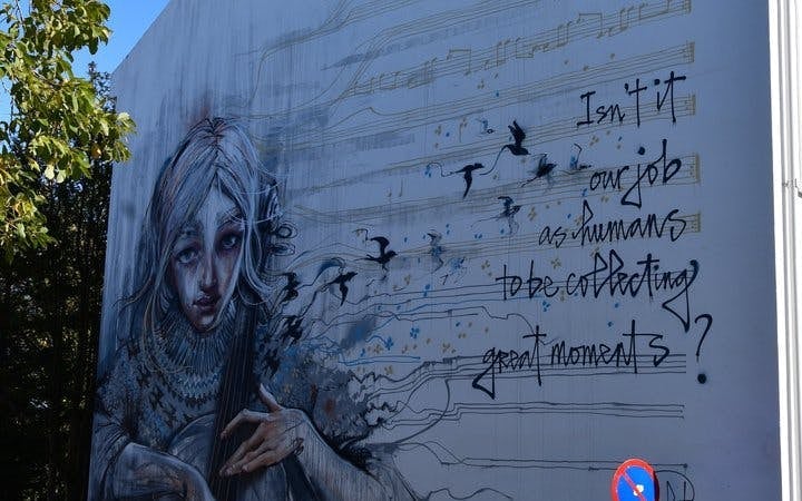 Reykjavik Street Art Guided Walking Tour Through Hidden Alleys and Neighborhoods Image 8