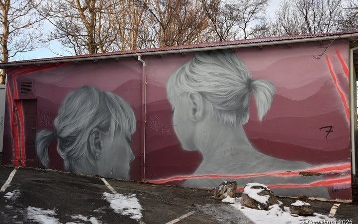 Reykjavik Street Art Guided Walking Tour Through Hidden Alleys and Neighborhoods Image 9