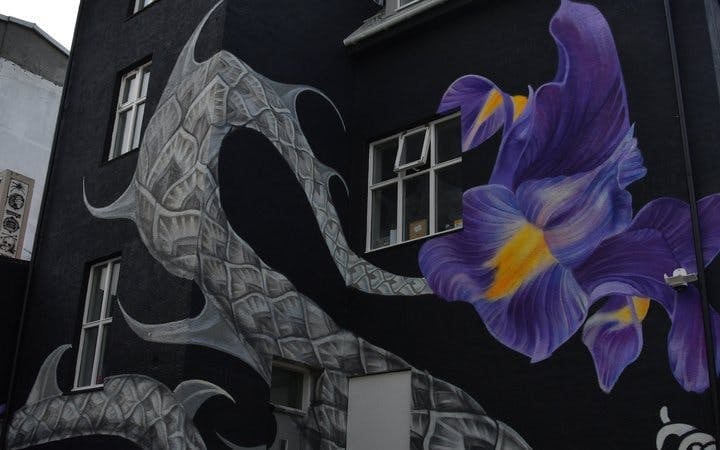 Reykjavik Street Art Guided Walking Tour Through Hidden Alleys and Neighborhoods Image 10