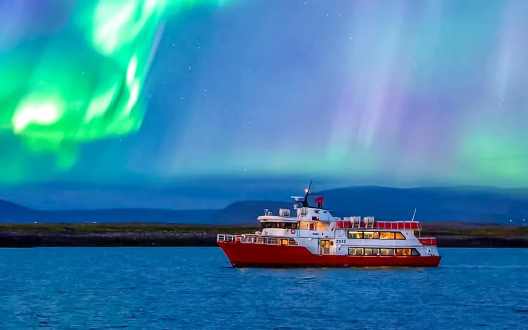 Reykjavik: Whale Watching & Northern Lights Cruise Combo Image 1