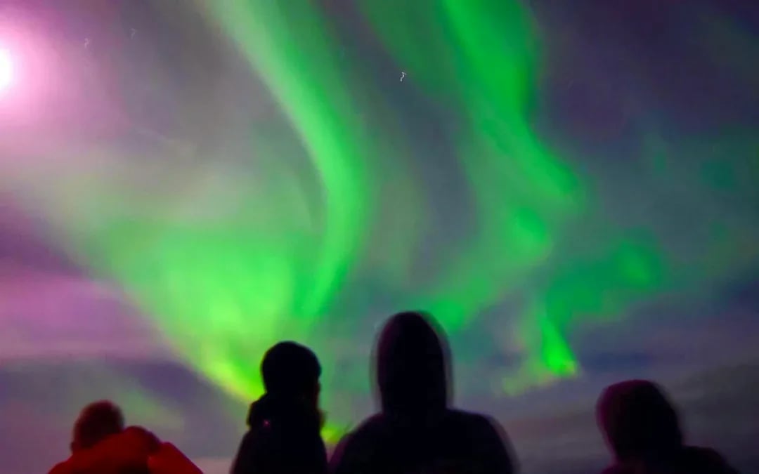 Reykjavik: Whale Watching & Northern Lights Cruise Combo Image 2