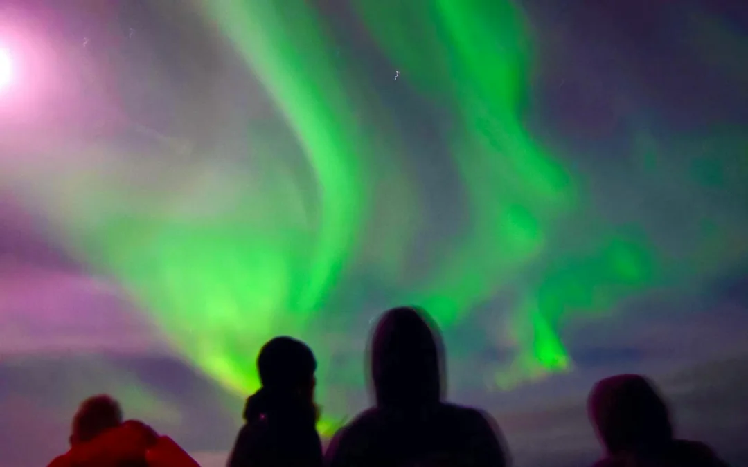 Reykjavik: Whale Watching & Northern Lights Cruise Combo Image 2