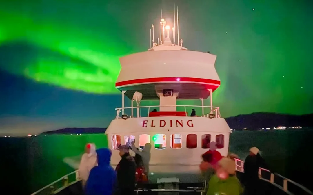 Reykjavik: Whale Watching & Northern Lights Cruise Combo Image 3