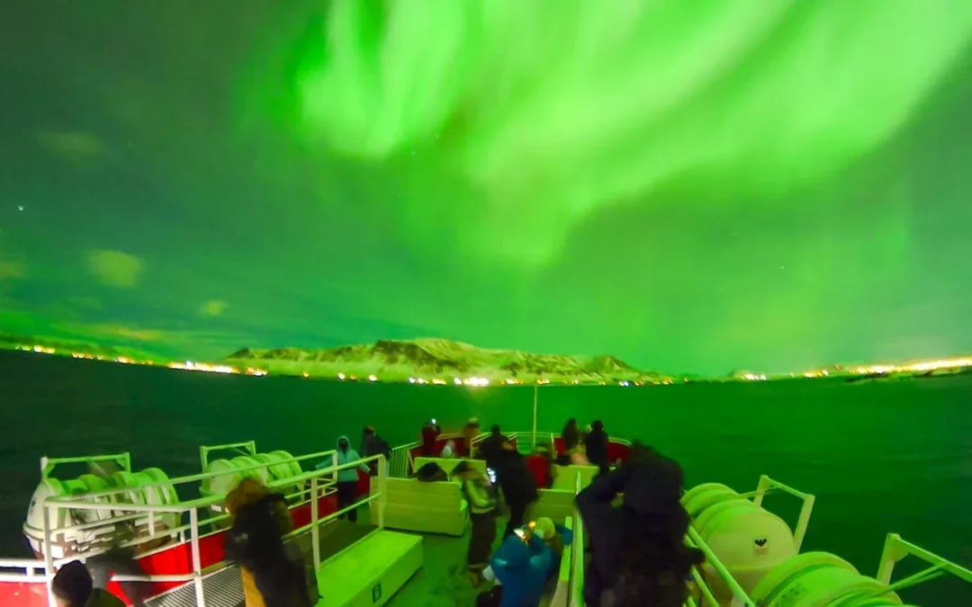 Reykjavik: Whale Watching & Northern Lights Cruise Combo Image 7