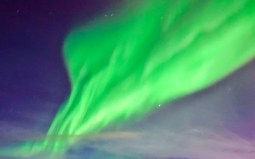 Reykjavik: Whale Watching & Northern Lights Cruise Combo Image 8