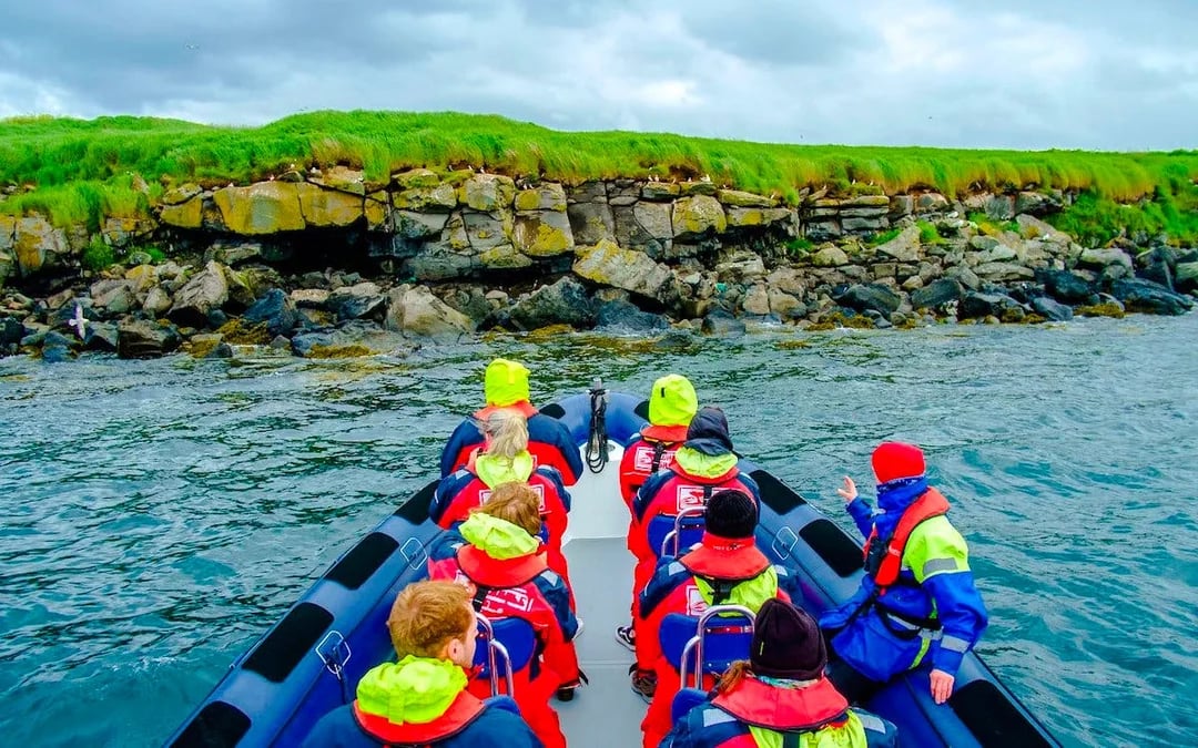 Reykjavik: Whale Watching & Puffin Tour on RIB speedboat Image 6
