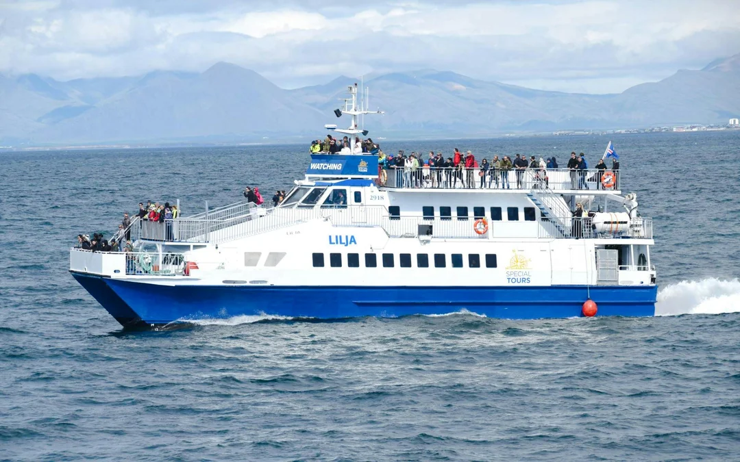 Reykjavik: Whale Watching Boat Tour Image 3