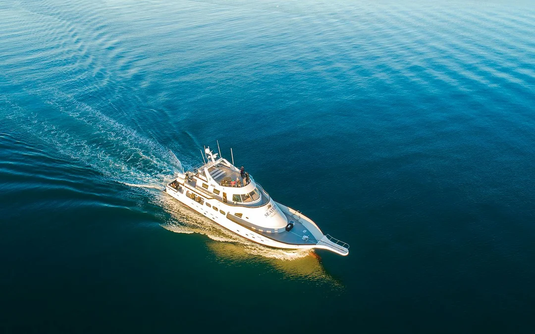Reykjavik: Whale Watching on a Luxury Yacht Image 2