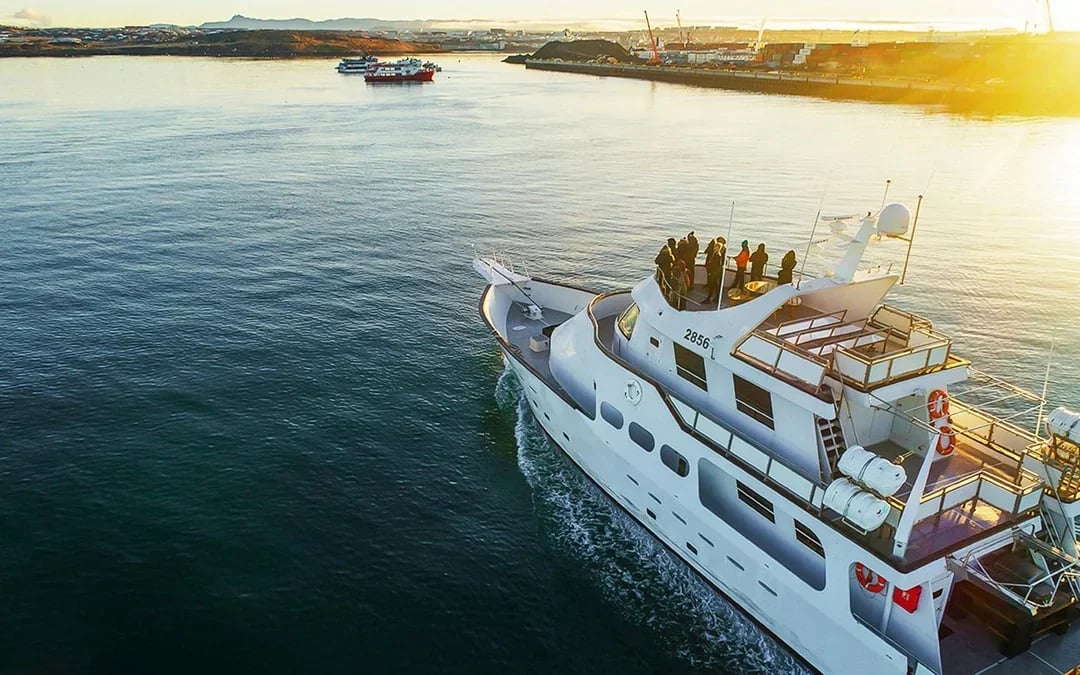 Reykjavik: Whale Watching on a Luxury Yacht Image 6