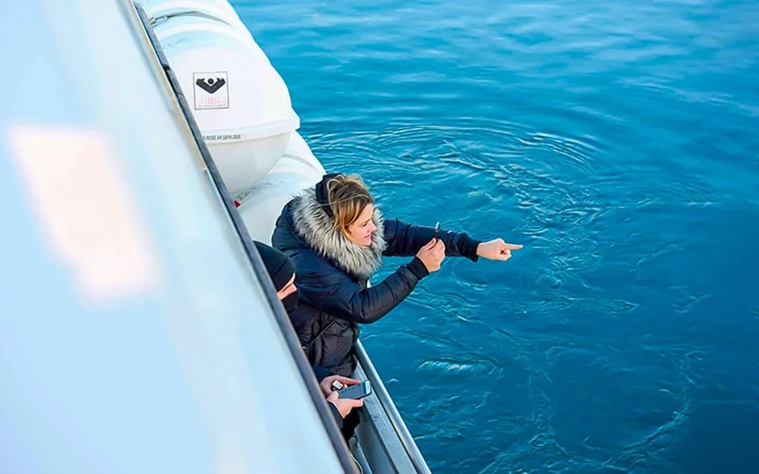 Reykjavik: Whale Watching on a Luxury Yacht Image 8