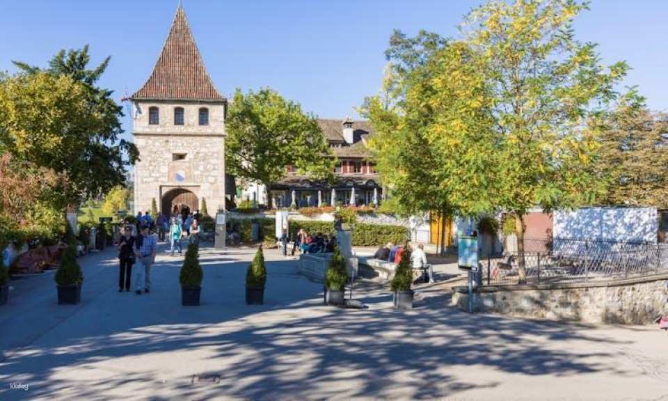 Rhine Falls half-day tour from Zurich