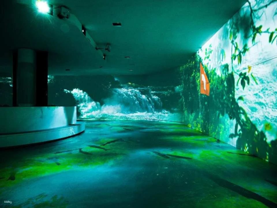 Rhyality Immersive Exhibition at the Rhine Falls