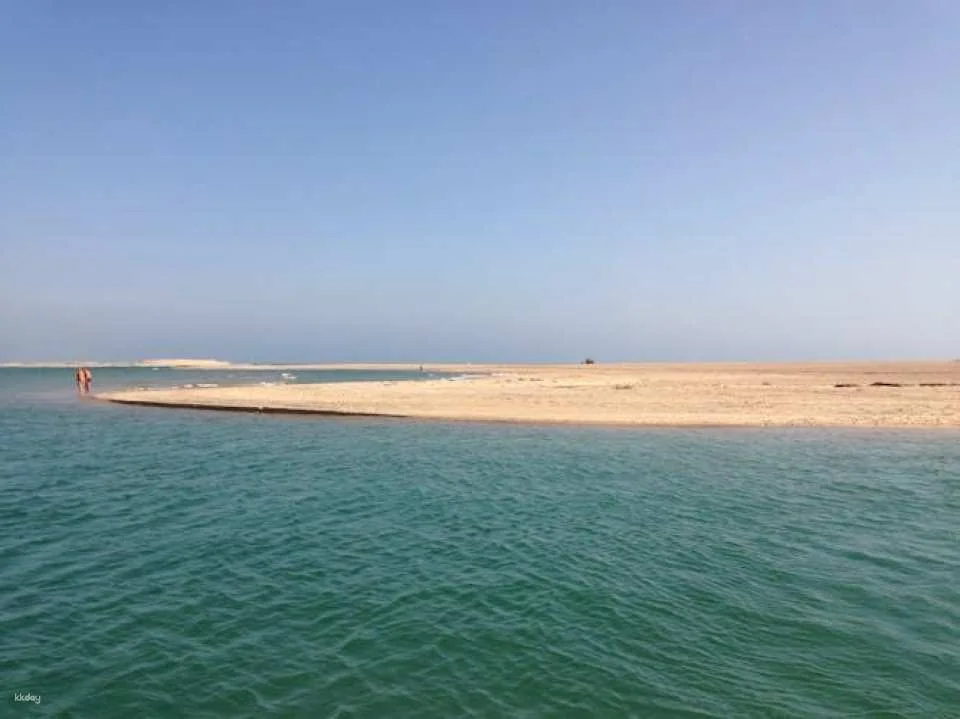 Ria Formosa private catamaran