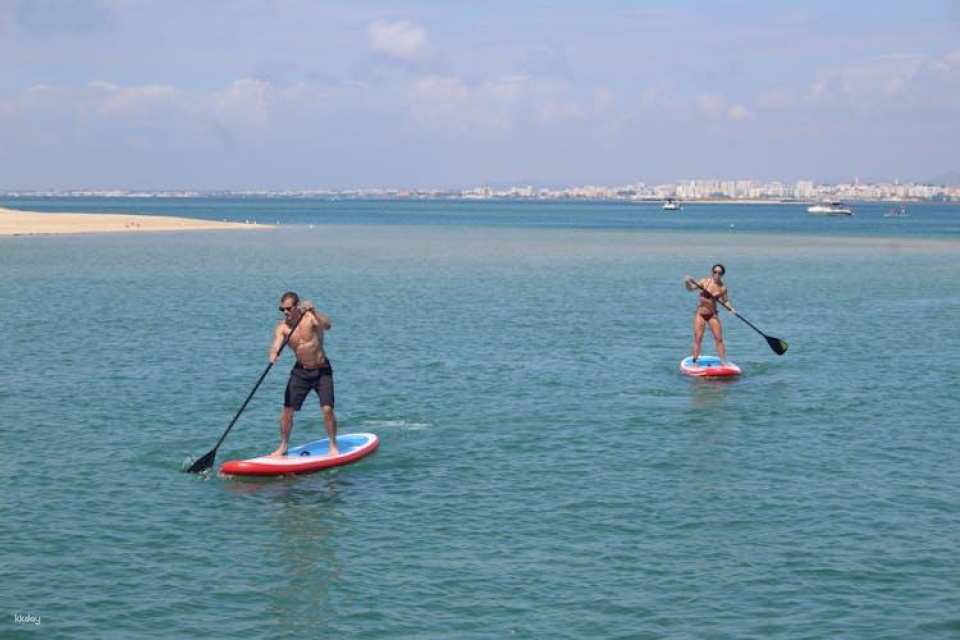 Ria Formosa private catamaran