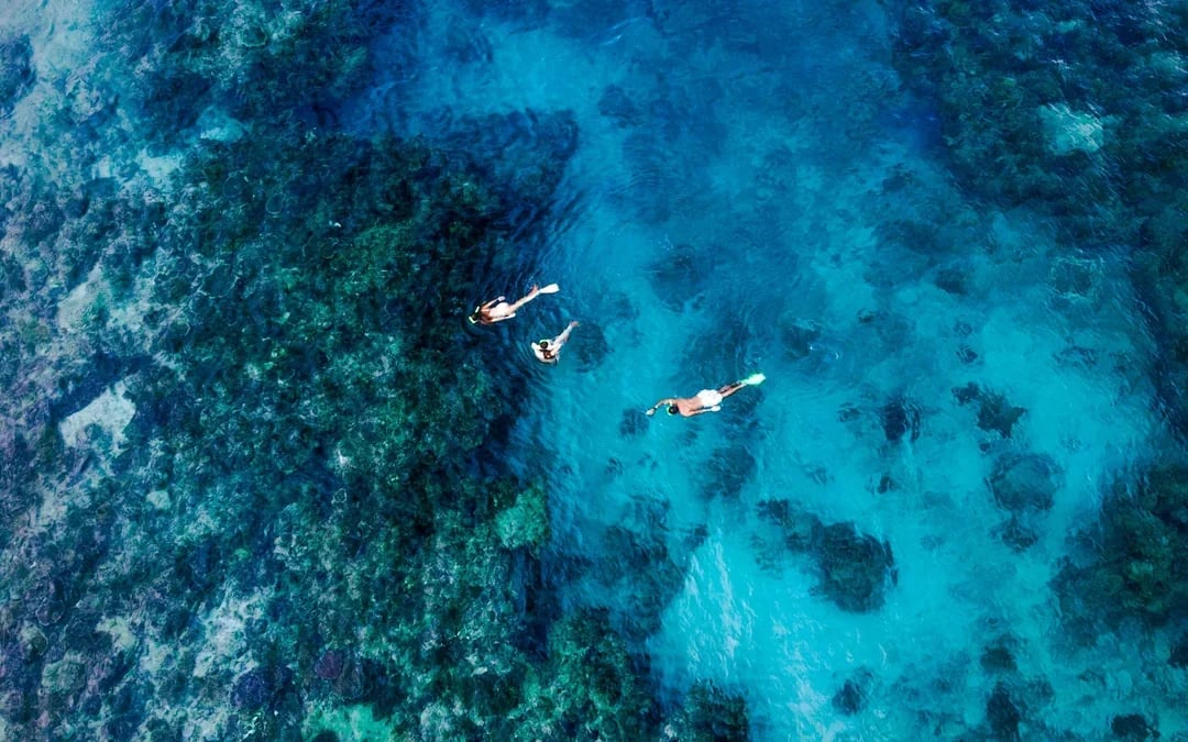 Ride and Slide: Half-Day Snorkelling Cruise with Hotel Transfers  Image 7