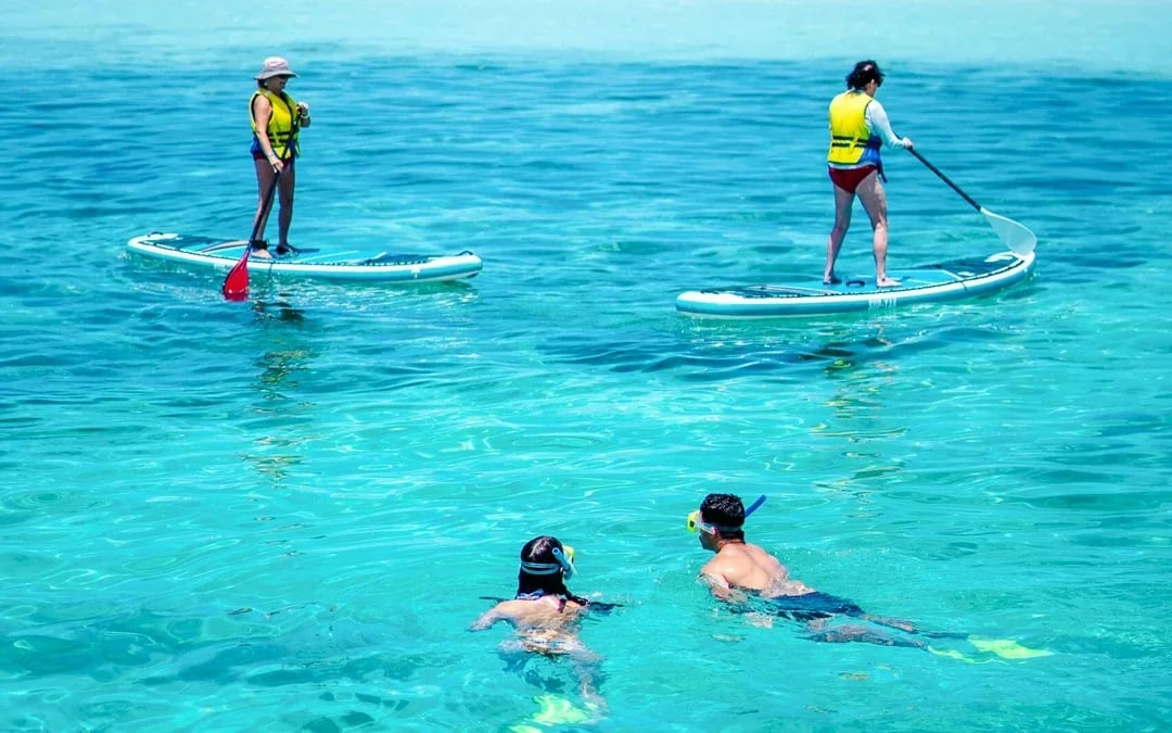 Ride and Slide: Half-Day Snorkelling Cruise with Hotel Transfers  Image 8